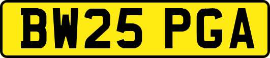 BW25PGA