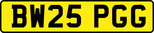 BW25PGG