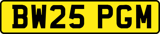 BW25PGM