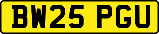 BW25PGU