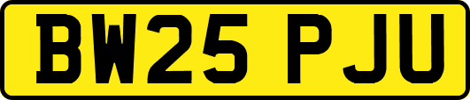 BW25PJU