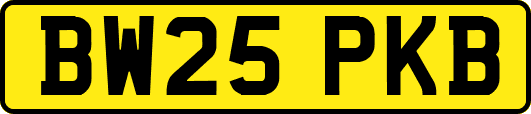 BW25PKB