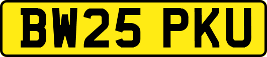 BW25PKU