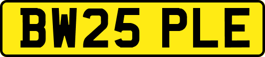 BW25PLE