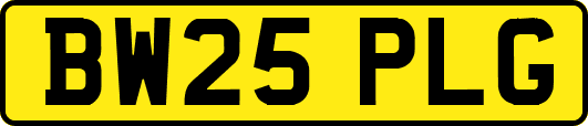BW25PLG