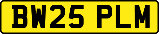 BW25PLM