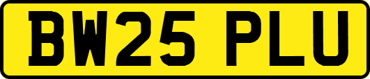 BW25PLU