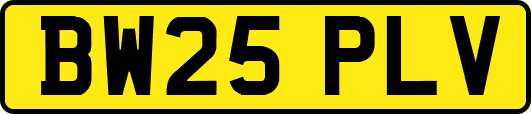 BW25PLV