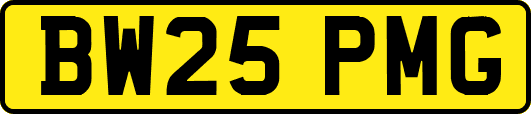 BW25PMG