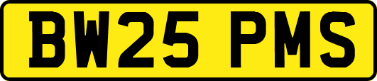 BW25PMS