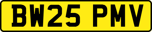 BW25PMV