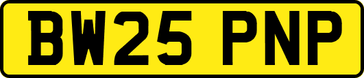 BW25PNP
