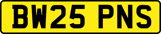 BW25PNS