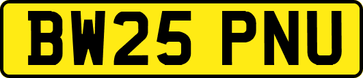 BW25PNU