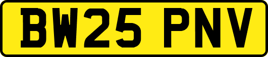 BW25PNV