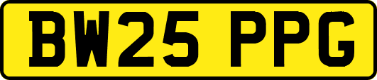 BW25PPG