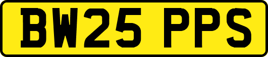 BW25PPS