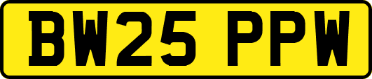 BW25PPW