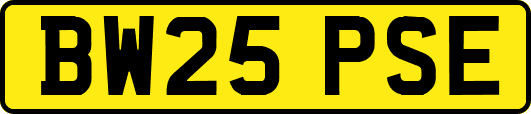BW25PSE