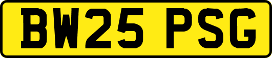 BW25PSG