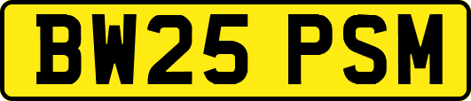 BW25PSM