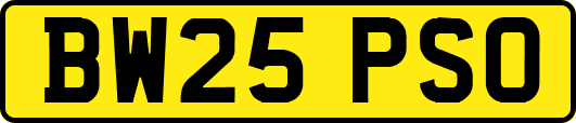 BW25PSO