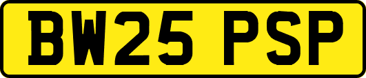 BW25PSP