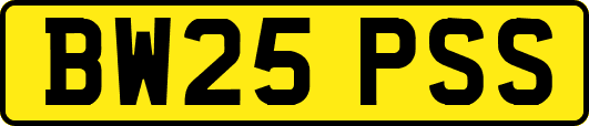 BW25PSS