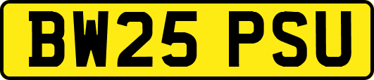 BW25PSU