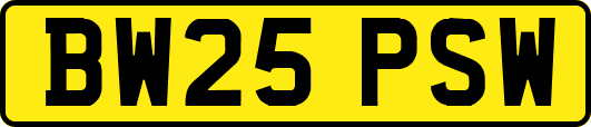 BW25PSW