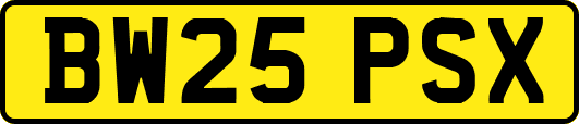 BW25PSX