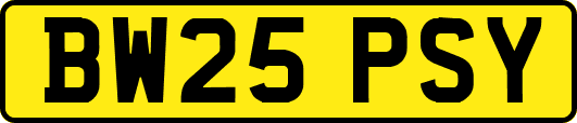 BW25PSY