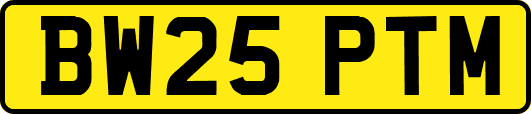 BW25PTM