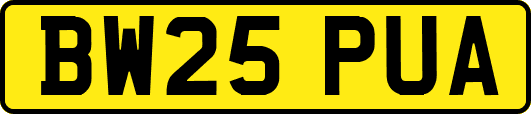 BW25PUA