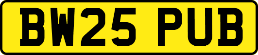 BW25PUB