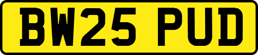 BW25PUD