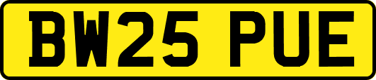 BW25PUE