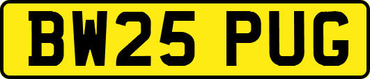 BW25PUG