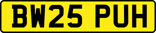 BW25PUH
