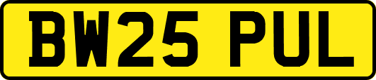 BW25PUL