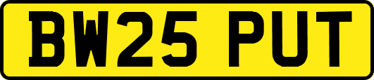 BW25PUT