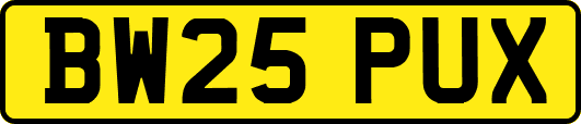 BW25PUX