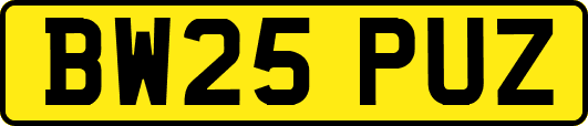 BW25PUZ
