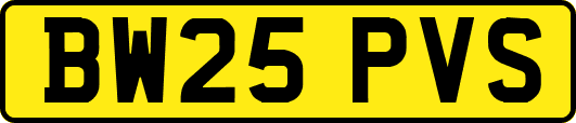BW25PVS