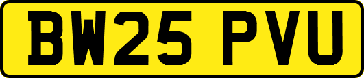 BW25PVU