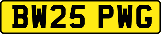 BW25PWG