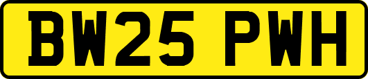 BW25PWH