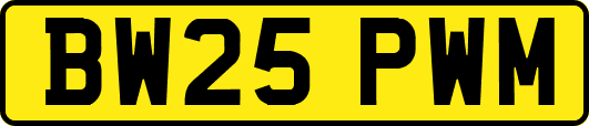 BW25PWM
