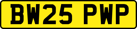 BW25PWP