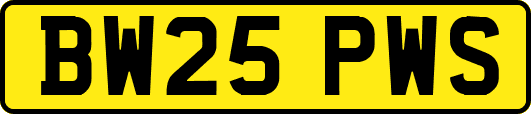 BW25PWS